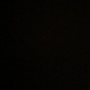 Meet your Posher, Reagan